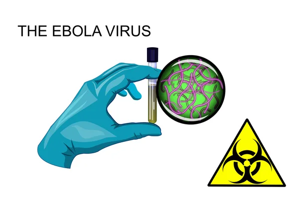エボラ ウイルス。バイオハザード — ストックベクタ