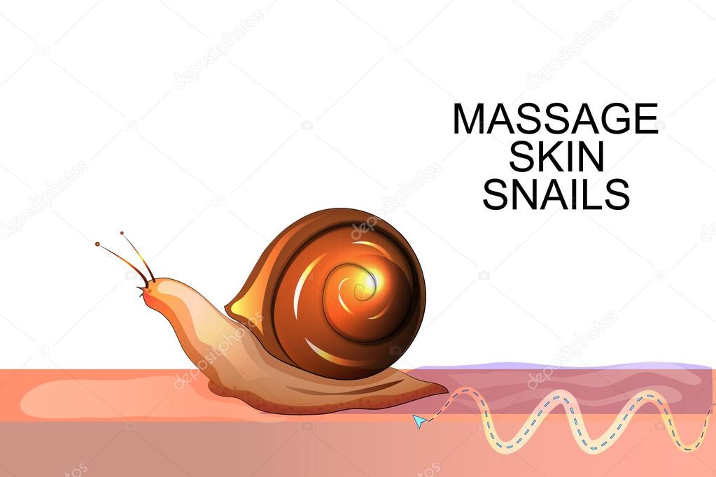 massage facial skin snails