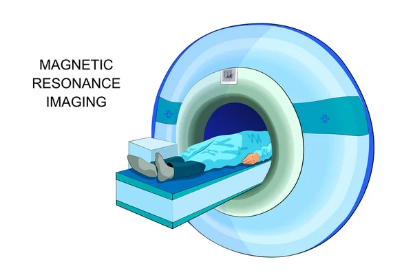 Beeldvorming van magnetische resonantie — Stockvector