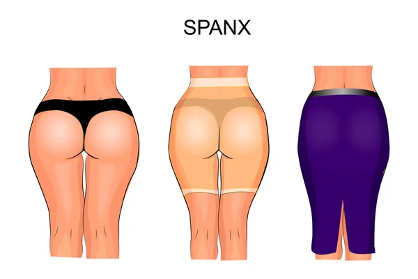 Nalgas y muslos de las mujeres a la ropa interior apretada. spanx — Archivo Imágenes Vectoriales