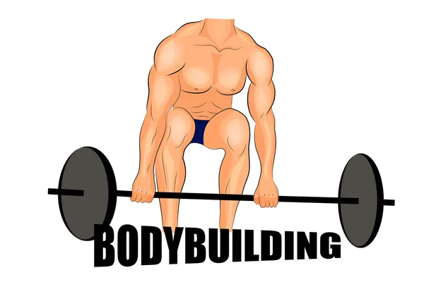 Lyfta skivstänger. bodybuilding. — Stock vektor