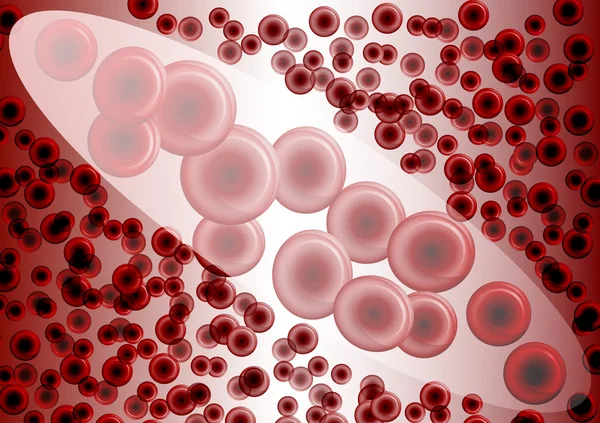 Rote Blutkörperchen unter Vergrößerung — Stockvektor