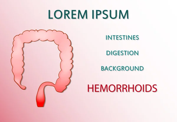 Intestino, intestino, hemorróidas —  Vetores de Stock