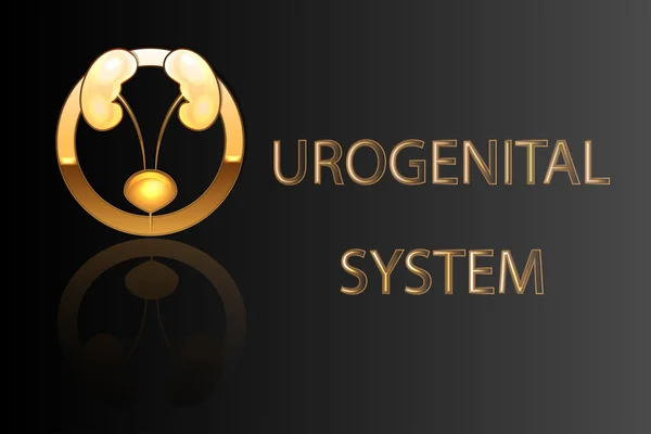 Urogenitalsystem, Nieren, Blase, Emblem, Symbol, Zeichen, stilisiertes Gold — Stockvektor