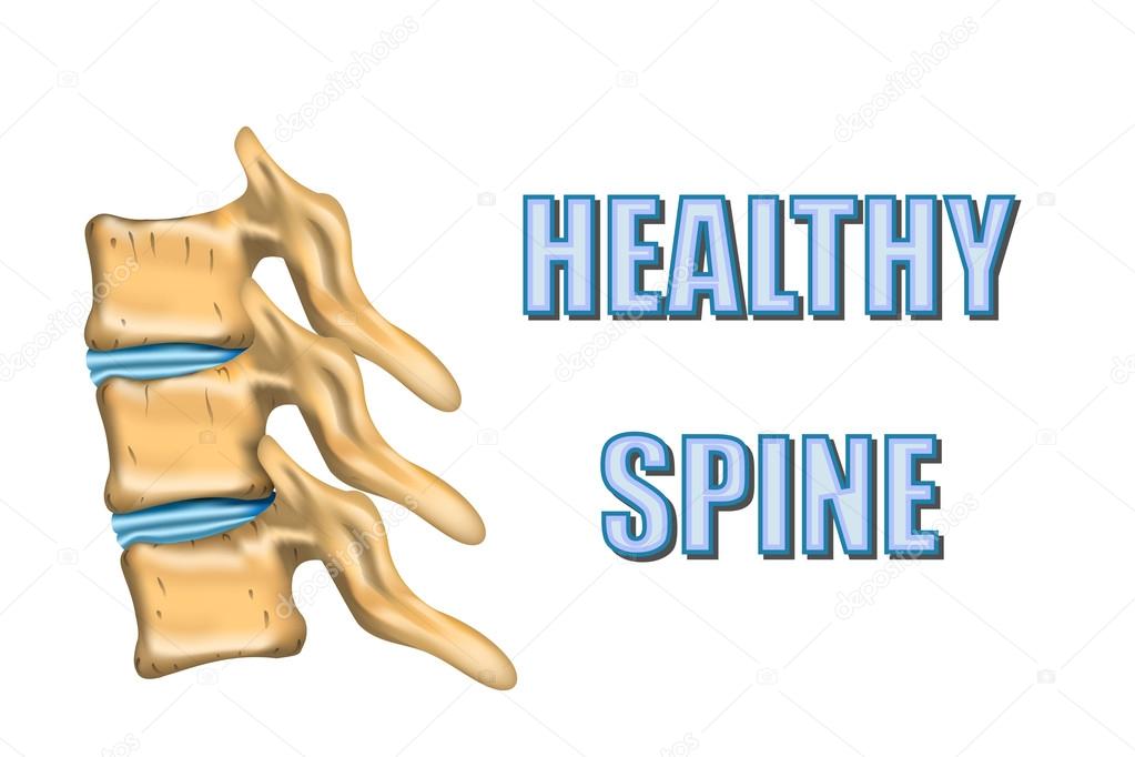 HEALTHY SPINE