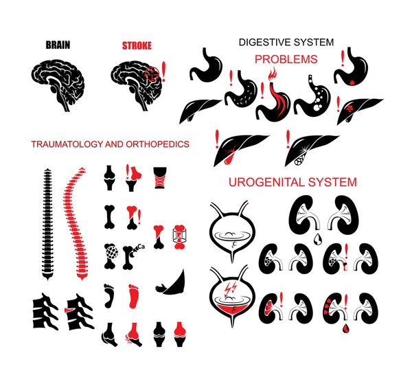 Conjunto de ícones de anatomia —  Vetores de Stock