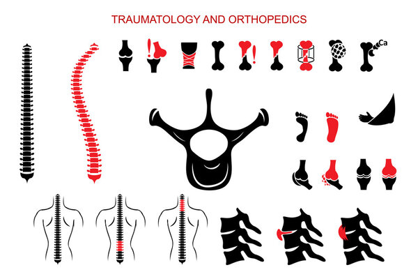 TRAUMATOLOGY AND ORTHOPEDICS. FULL SET