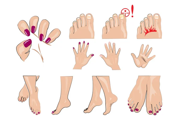 Händer, fötter och naglar manikyr — Stock vektor