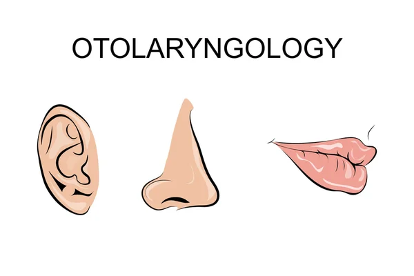 Otorrinolaringologia cor —  Vetores de Stock