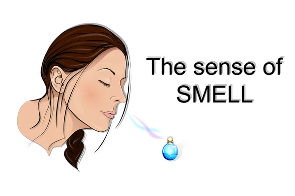O sentido do olfato —  Vetores de Stock