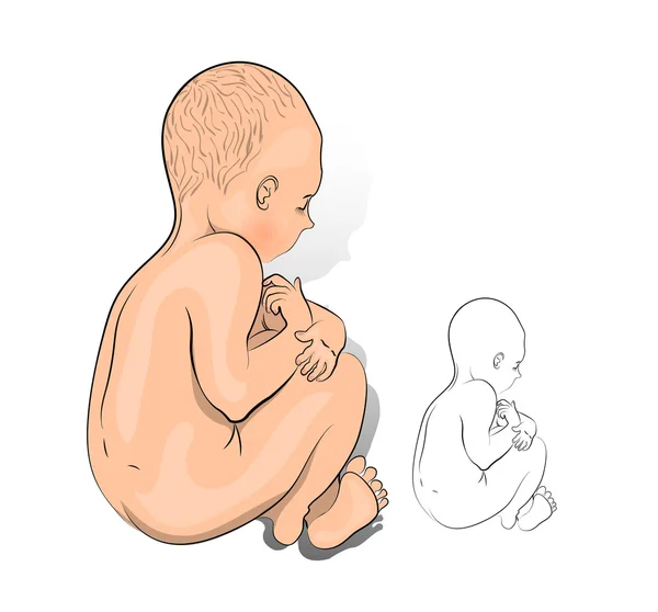 Illustratie van een pasgeboren baby — Stockvector