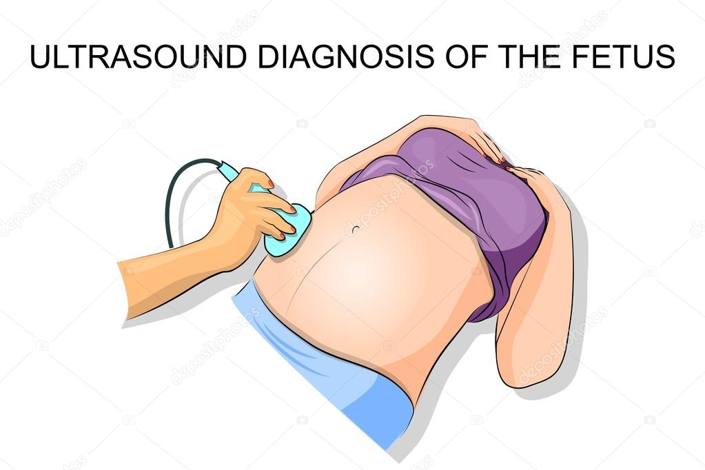 ultrasound diagnosis of the fetus