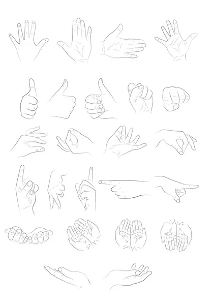 The different positions of the hands — Stock Vector