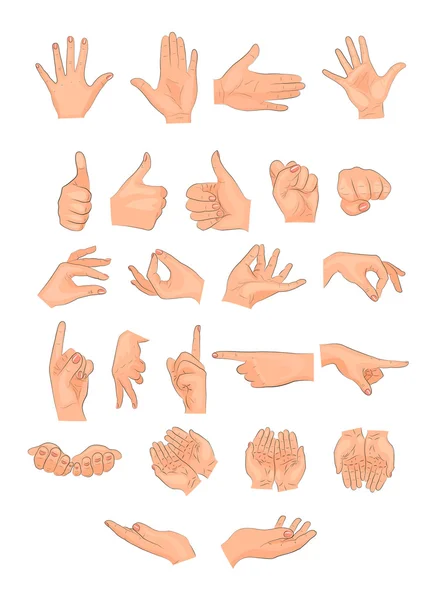 The different positions of the hands — Stock Vector