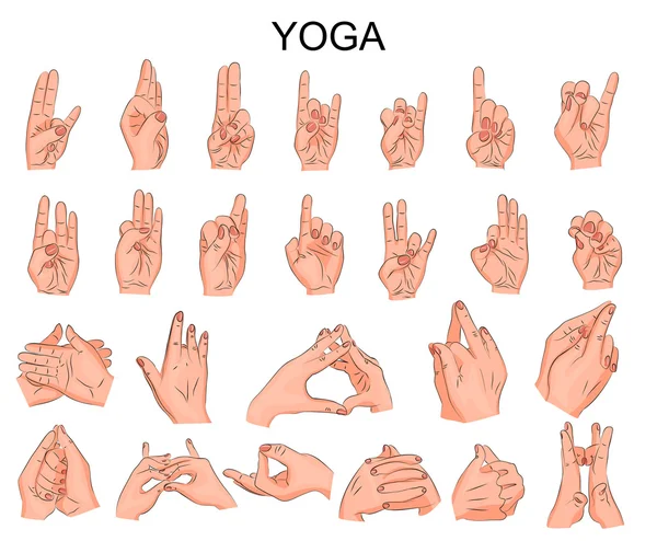 La position des mains en yoga, en méditation — Image vectorielle