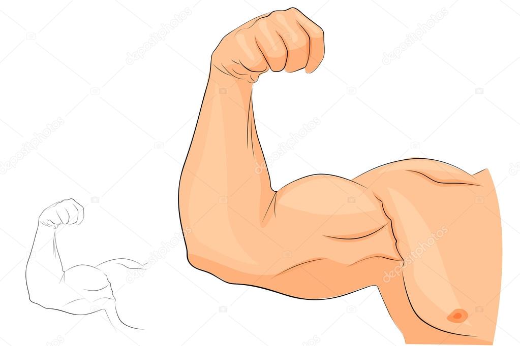 Illustration of the muscles of the hand, anatomy for bodybuilders