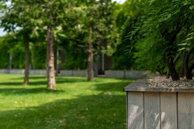 Outside green park at the summer time