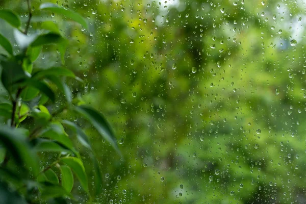 Drops Water Wet Window Rain — Stock fotografie