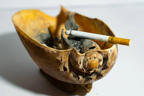 smoking pipe with tobacco and cigarette