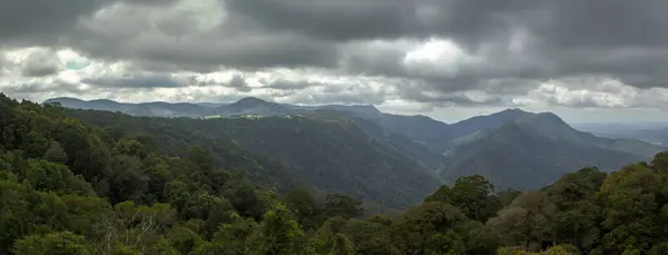 Dorrigo Ulusal Parkı NSW Avustralya Yürüyüş Yolu Banner Dağlık Arazi Panoraması