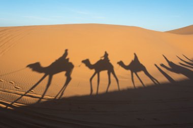 Camel shadow on the sand dunes in Sahara desert, Morocco