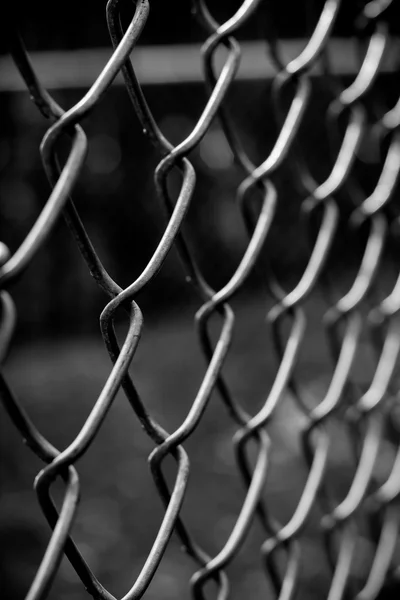 Abstract wire metal fence with blurry background — Stock Photo, Image