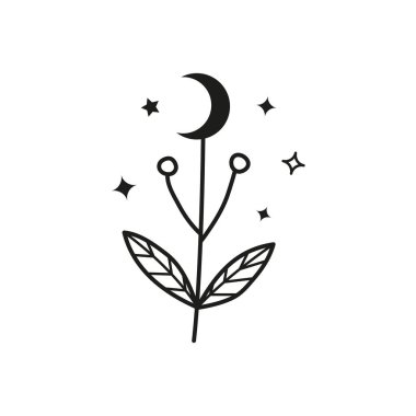 Beyaz arka planda izole edilmiş yıldızlı siyah gökyüzü çiçeği. Boho botanik illüstrasyonu.