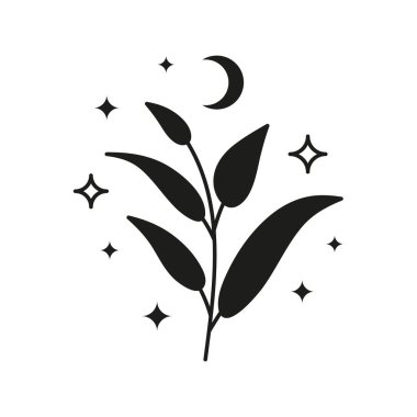 Siyah gök yapraklı dallar ve yıldızlar, beyaz arka planda izole edilmiş hilal ay. Boho botanik illüstrasyonu.