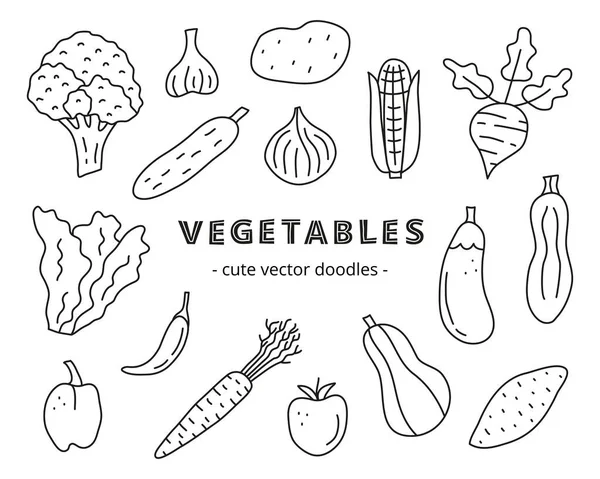 Conjunto Lindo Doodle Bosquejo Alimentos Iconos Vegetales Incluyendo Brócoli Ajo — Vector de stock