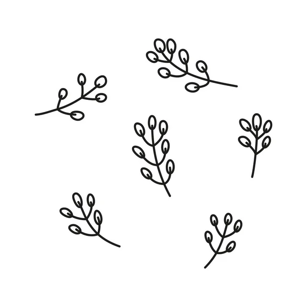 Set Simple Outline Doodle Pussy Willow Twigs Isolated White Background — Stockový vektor