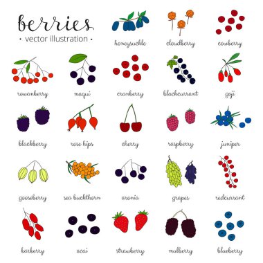 Beyaz arka planda izole edilmiş renkli böğürtlenler..