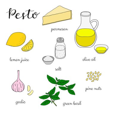Beyaz arka planda izole edilmiş pesto sosu malzemeleri. Parmesan, limon, tuz, zeytin yağı, sarımsak, fesleğen, çam fıstığı. El çizimi biçiminde vektör illüstrasyonu.