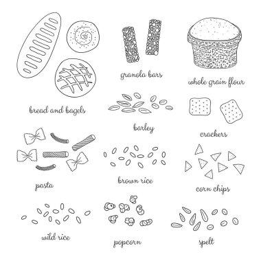 Beyaz arka planda elle çizilmiş tam tahıllı yiyecekler.
