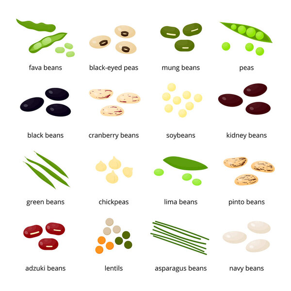 Set of different cartoon beans and legumes isolated on white background.