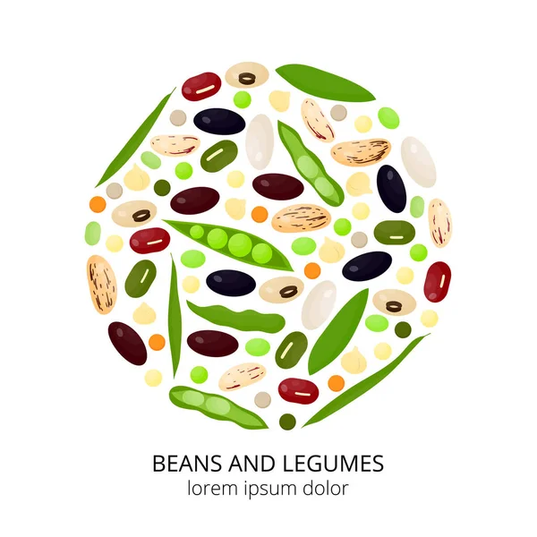 白い背景に円で異なる漫画の豆とマメ科植物 — ストックベクタ