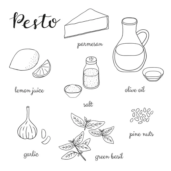 Pesto Sauce Umreißt Zutaten Isoliert Auf Weißem Hintergrund Parmesan Zitrone — Stockvektor