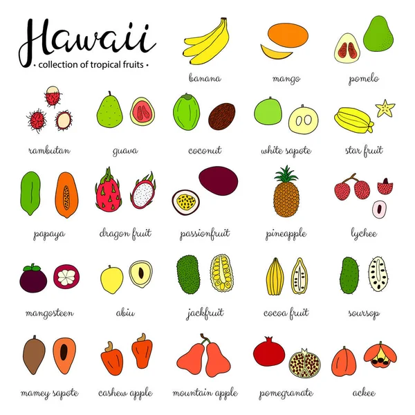 Handgezeichnete Tropische Früchte Von Hawaii Isoliert Auf Weißem Hintergrund — Stockvektor