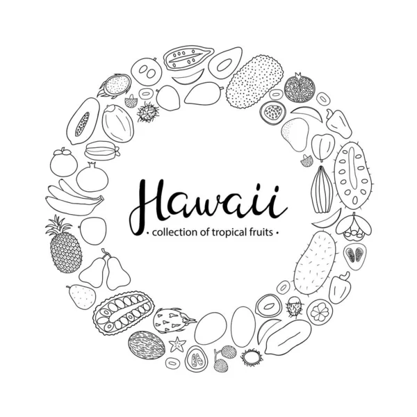 Hand Drawn Outline Tropical Fruits Hawaii Circle Shape Lettering — Stock Vector