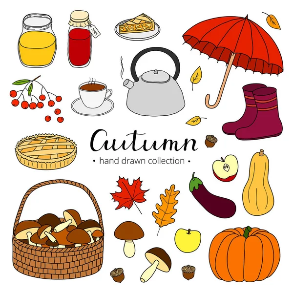 Collection Hand Drawn Autumn Items Isolated White Background Lettering — Stock Vector