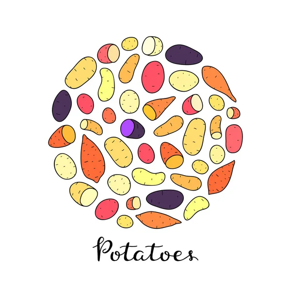 Verschiedene Kartoffelsorten Kreisform Mit Schriftzug Auf Weißem Hintergrund Handgezeichnete Illustration — Stockvektor
