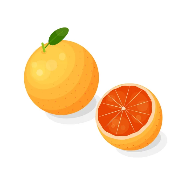 Helle Zitrusgrapefruit Cartoon Stil Isoliert Auf Weißem Hintergrund — Stockvektor