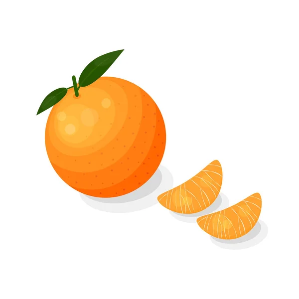 Lyse Citrus Mandarin Eller Mandarin Tegneserie Stil Isoleret Hvid Baggrund – Stock-vektor