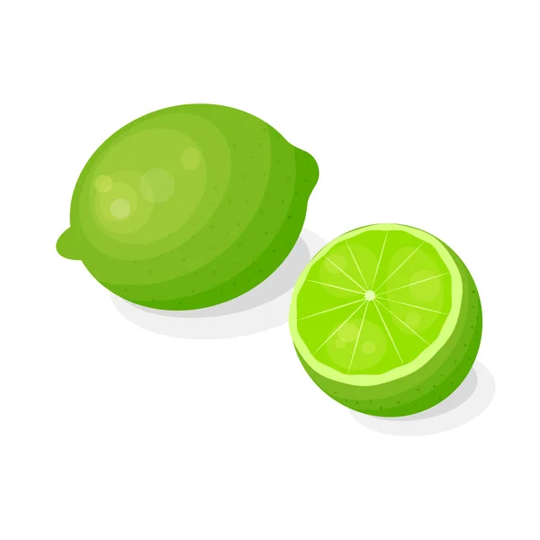 Bright Citrus Lime Gyümölcs Rajzfilm Stílus Elszigetelt Fehér Háttér — Stock Vector
