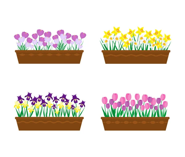 Весняні Квіти Довгих Контейнерах Ізольовані Білому Тлі Колекція Горщиків Весняних — стоковий вектор