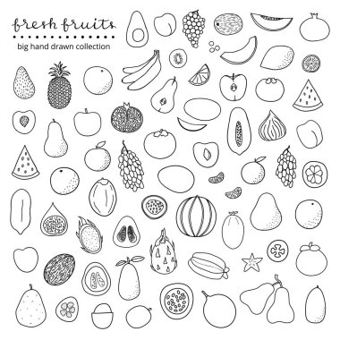 Beyaz arka planda izole edilmiş büyük bir el çizimi koleksiyonu popüler tropikal ve ılıman meyveler.