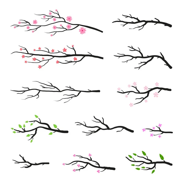 Sammlung Von Ästen Und Blühenden Sakura Zweigen Mit Rosa Blüten — Stockvektor