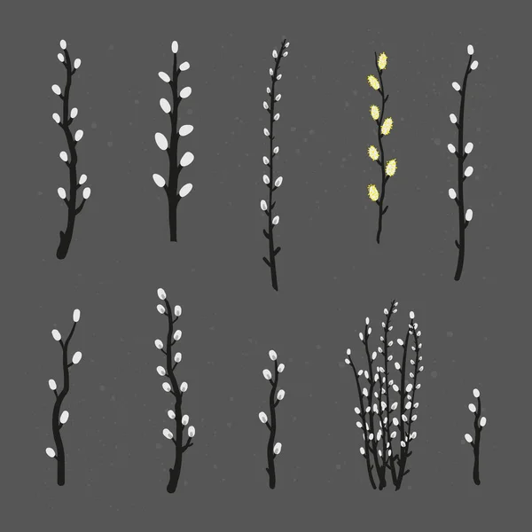 Collection Hand Drawn Pussy Willow Branches Isolated Blackboard Background — Wektor stockowy