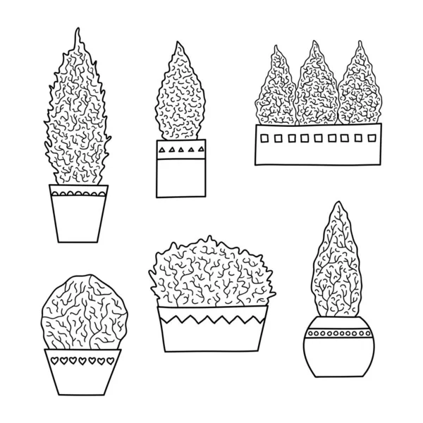 Set Handgetekende Schets Miniatuur Groeiende Naaldbomen Potten Geïsoleerd Witte Achtergrond — Stockvector