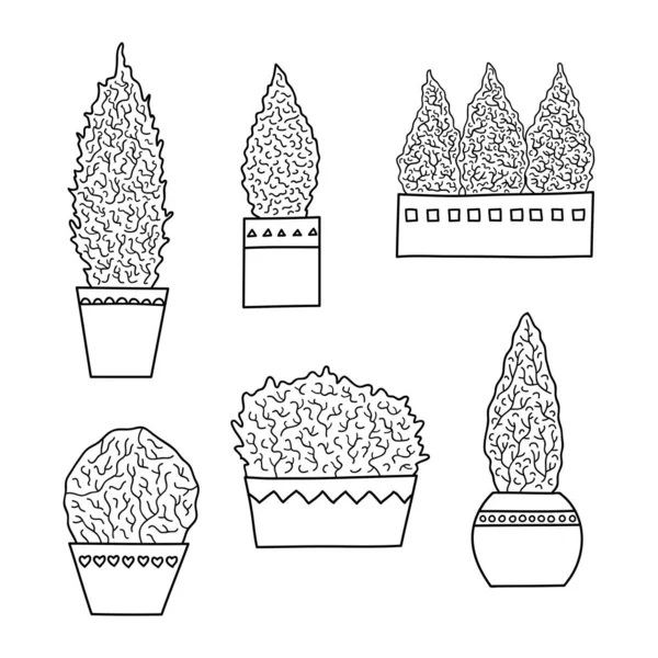 Набір Намальованих Вручну Контурів Мініатюр Вирощування Хвойних Дерев Горщиках Ізольовані — стоковий вектор