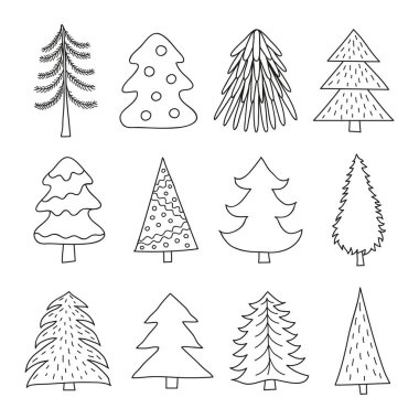 Beyaz arkaplanda izole edilmiş köknar ağaçları..